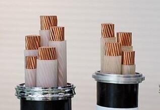 亚洲国产熟妇无码日韩