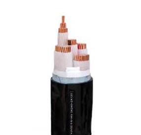 亚洲国产熟妇无码日韩