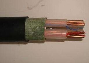 亚洲国产熟妇无码日韩