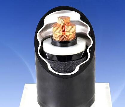 亚洲国产熟妇无码日韩