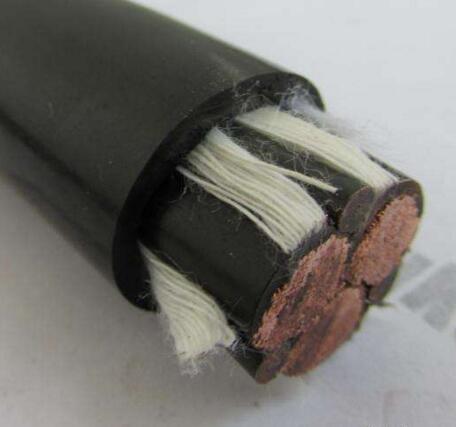 亚洲国产熟妇无码日韩