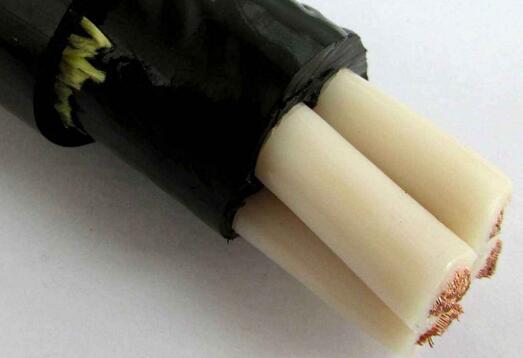 亚洲国产熟妇无码日韩