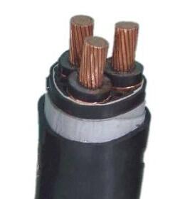 亚洲国产熟妇无码日韩