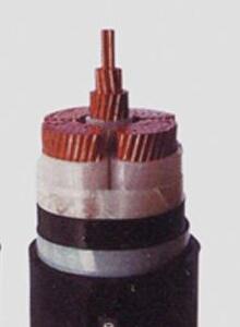 亚洲国产熟妇无码日韩