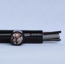 亚洲国产熟妇无码日韩