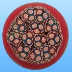 亚洲国产熟妇无码日韩