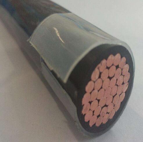 亚洲国产熟妇无码日韩