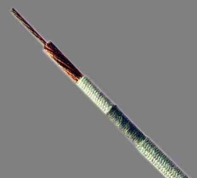 亚洲国产熟妇无码日韩