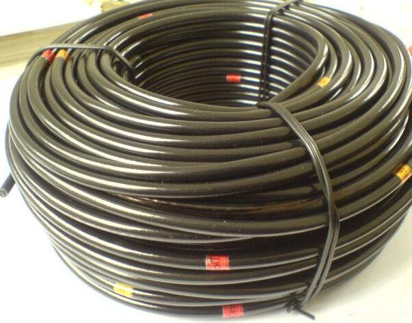 亚洲国产熟妇无码日韩