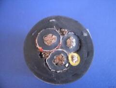 亚洲国产熟妇无码日韩