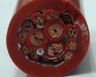 亚洲国产熟妇无码日韩