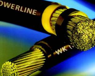 亚洲国产熟妇无码日韩