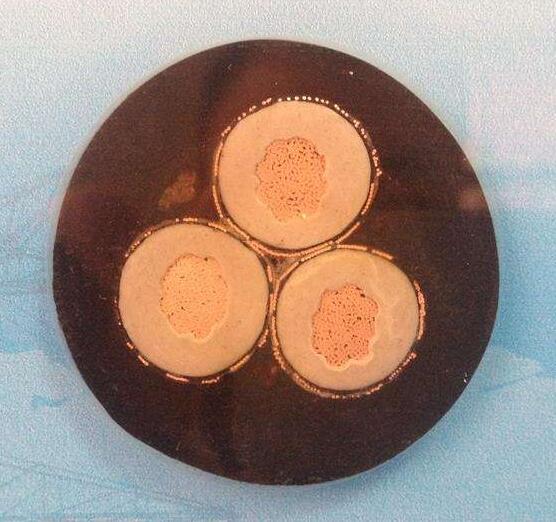 亚洲国产熟妇无码日韩