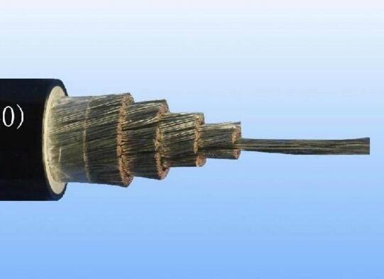 亚洲国产熟妇无码日韩