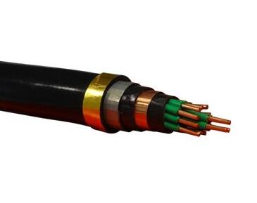 亚洲国产熟妇无码日韩