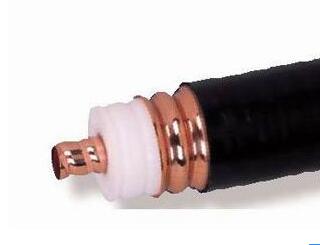 亚洲国产熟妇无码日韩