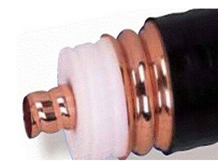 亚洲国产熟妇无码日韩