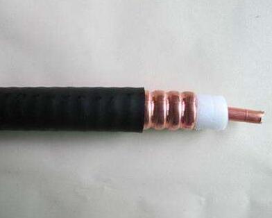 亚洲国产熟妇无码日韩