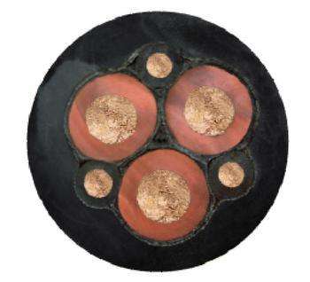 亚洲国产熟妇无码日韩