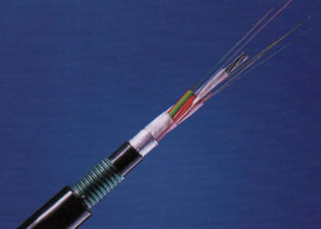 亚洲国产熟妇无码日韩