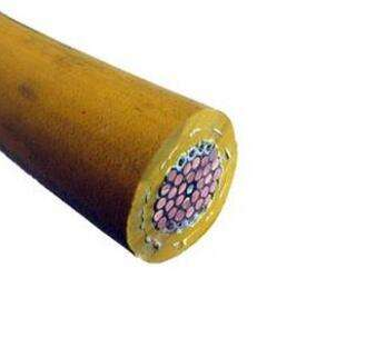 亚洲国产熟妇无码日韩