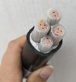 亚洲国产熟妇无码日韩