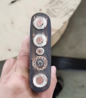 亚洲国产熟妇无码日韩