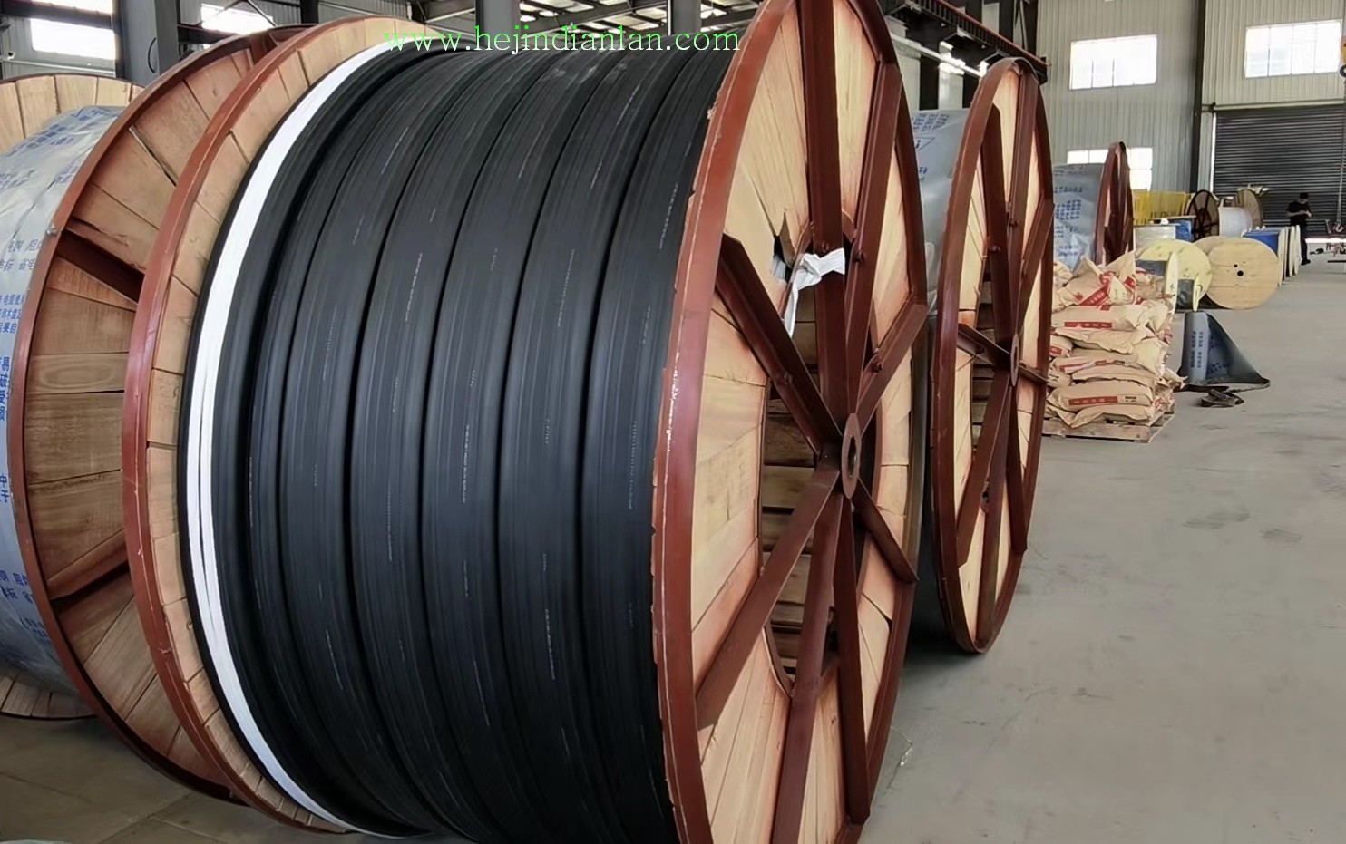 亚洲国产熟妇无码日韩