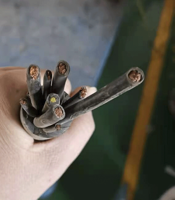 亚洲国产熟妇无码日韩