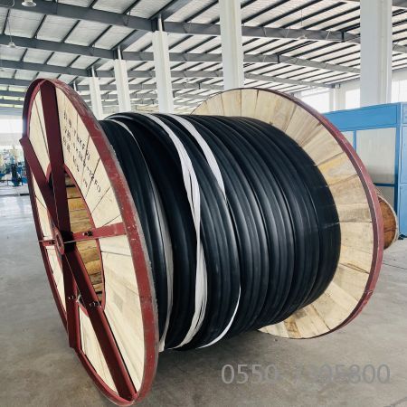 亚洲国产熟妇无码日韩