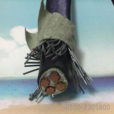 亚洲国产熟妇无码日韩