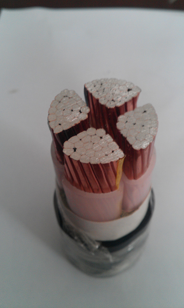 亚洲国产熟妇无码日韩