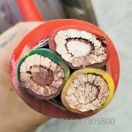 亚洲国产熟妇无码日韩