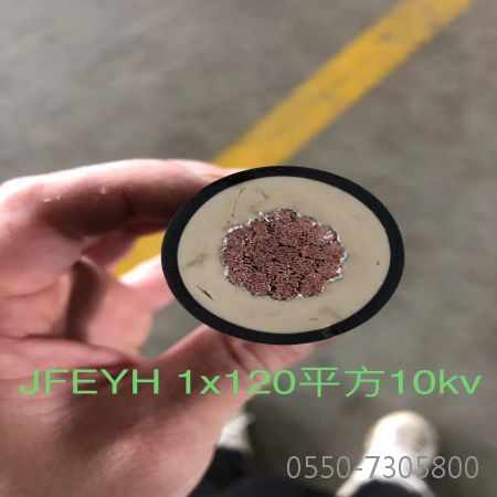 亚洲国产熟妇无码日韩