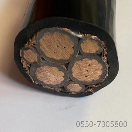 亚洲国产熟妇无码日韩