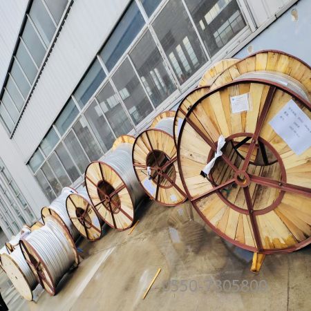 亚洲国产熟妇无码日韩