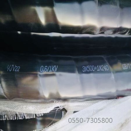 亚洲国产熟妇无码日韩