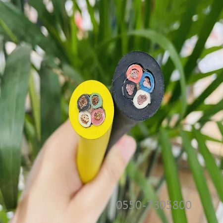 亚洲国产熟妇无码日韩