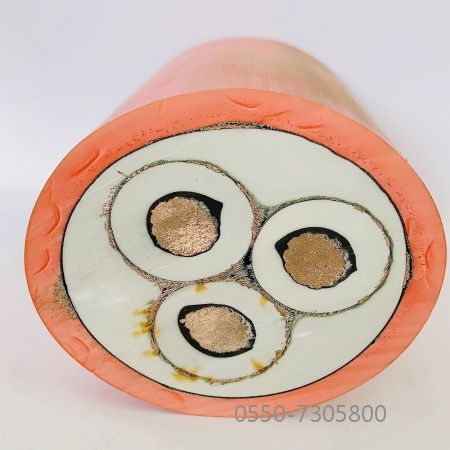 亚洲国产熟妇无码日韩