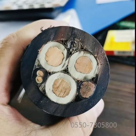 亚洲国产熟妇无码日韩