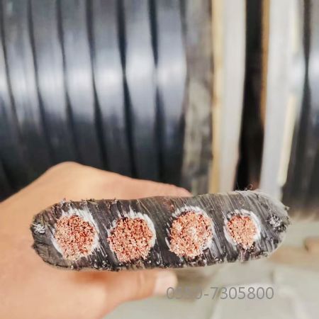 亚洲国产熟妇无码日韩