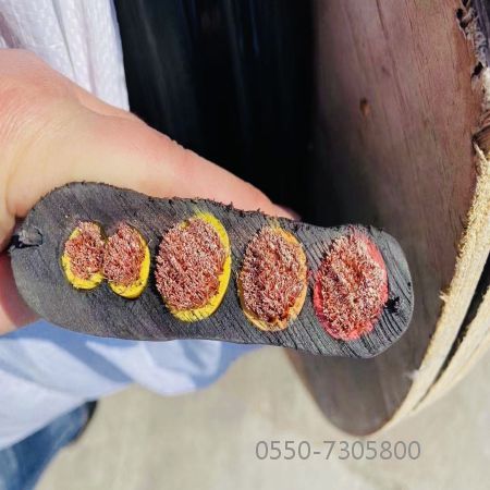 亚洲国产熟妇无码日韩