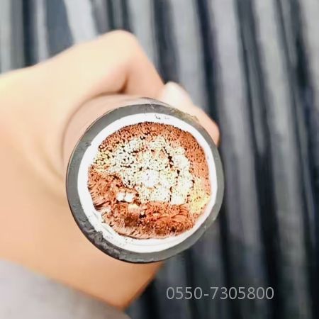 亚洲国产熟妇无码日韩