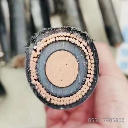 亚洲国产熟妇无码日韩