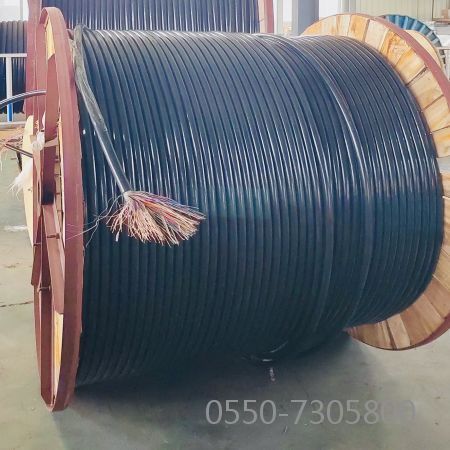 亚洲国产熟妇无码日韩