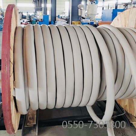 亚洲国产熟妇无码日韩