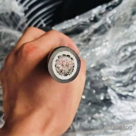 亚洲国产熟妇无码日韩