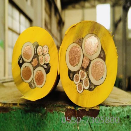 亚洲国产熟妇无码日韩