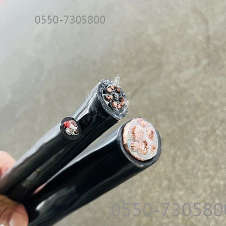 亚洲国产熟妇无码日韩