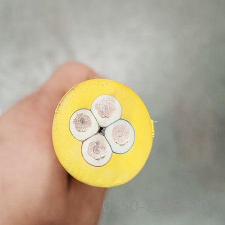 亚洲国产熟妇无码日韩